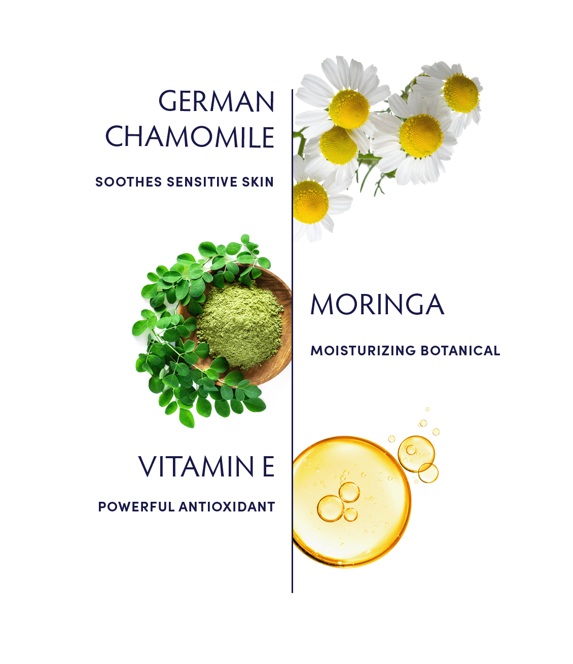 Chamomile Cleansing Milk by Naturopathica