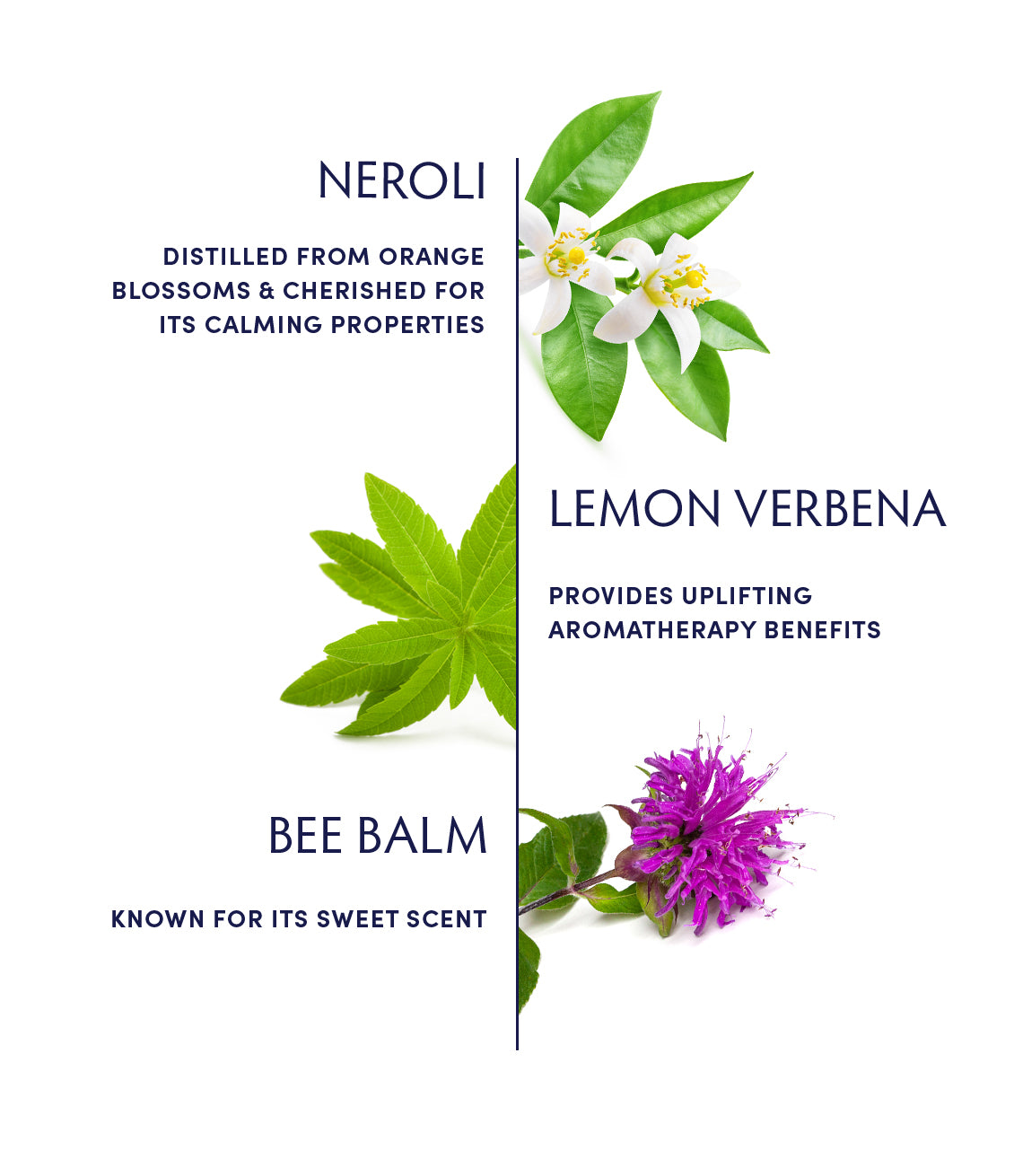 Chill Aromatic Alchemy by Naturopathica
