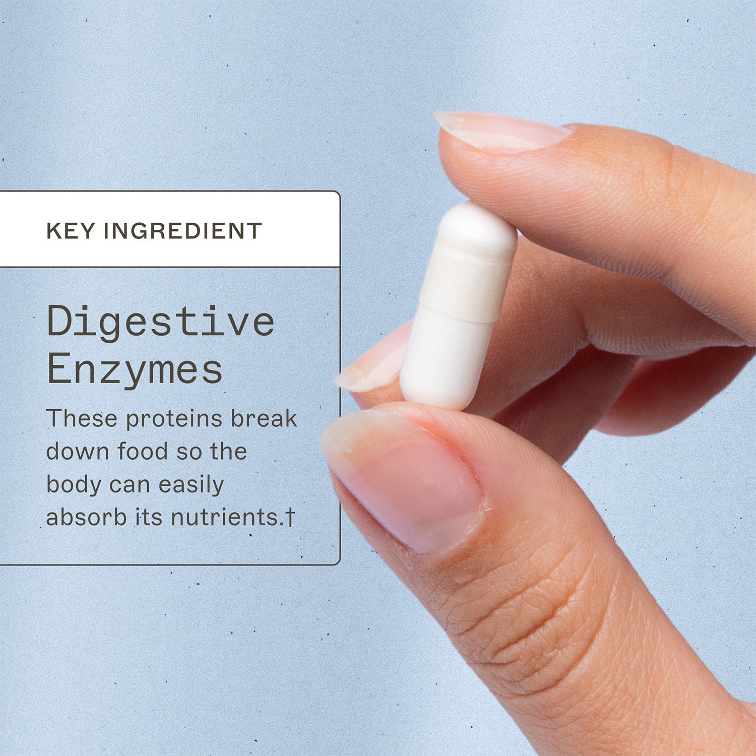 Candifense® - Candida Overgrowth Supplement by Amy Myers MD