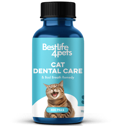 Cat Dental Care and Bad Breath Remedy by BestLife4Pets