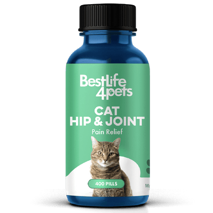 Cat Arthritis & Joint Pain Relief - Effective Anti-inflammatory by BestLife4Pets