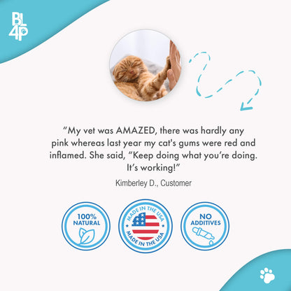 Cat Dental Care and Bad Breath Remedy by BestLife4Pets