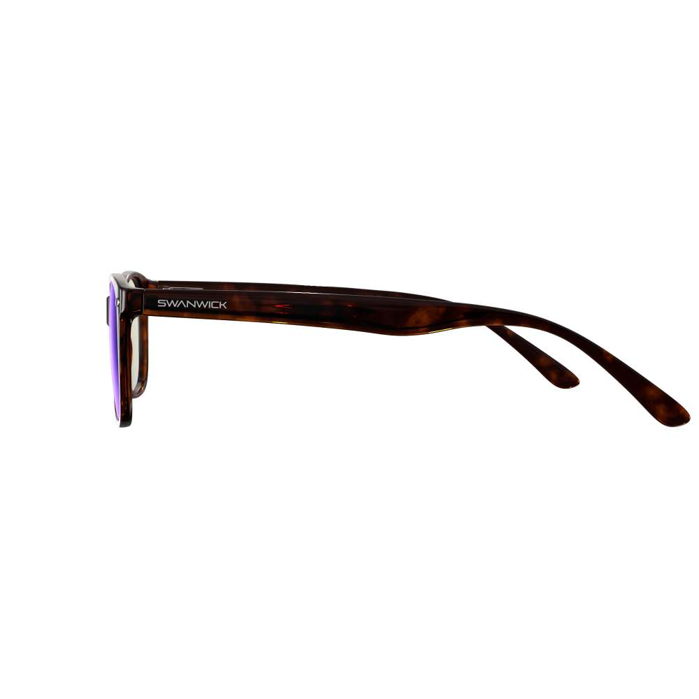 Focus Swannies Classic Tortoise