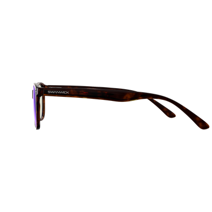 Focus Swannies Classic Tortoise XL - Last Chance