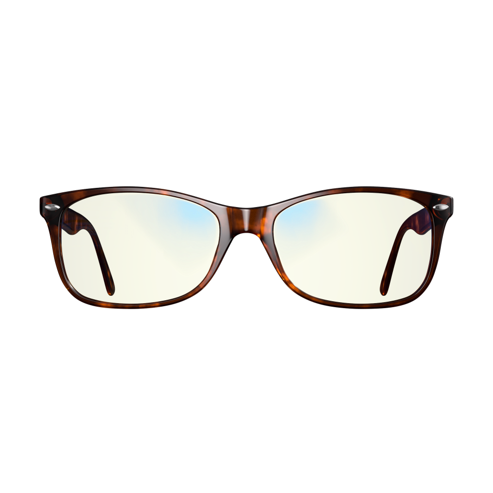 Focus Swannies Classic Tortoise