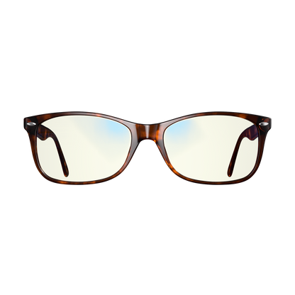 Focus Swannies Classic Tortoise