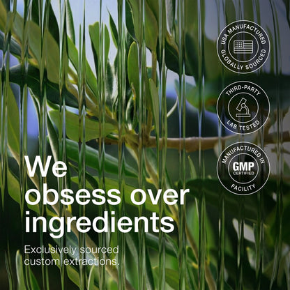 Olive Leaf Triple Extract 85%