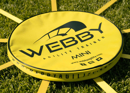 WEBBY MINI