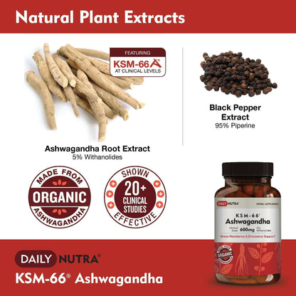Wholesale of 10 - Daily Nutra KSM-66 Ashwagandha 60c