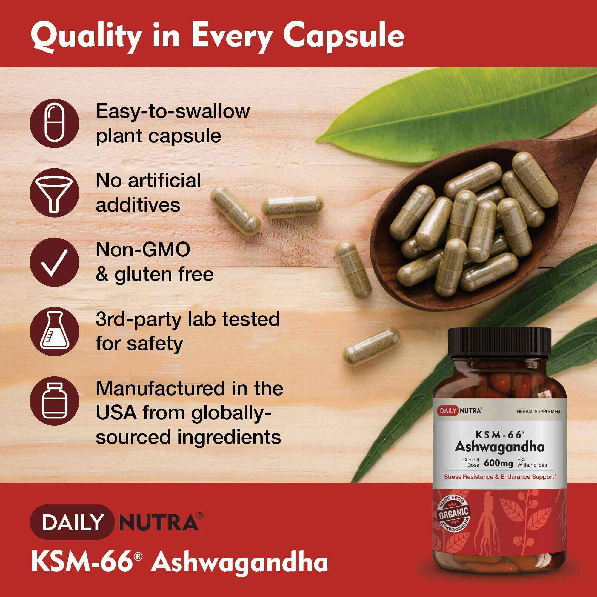 Wholesale of 10 - Daily Nutra KSM-66 Ashwagandha 60c