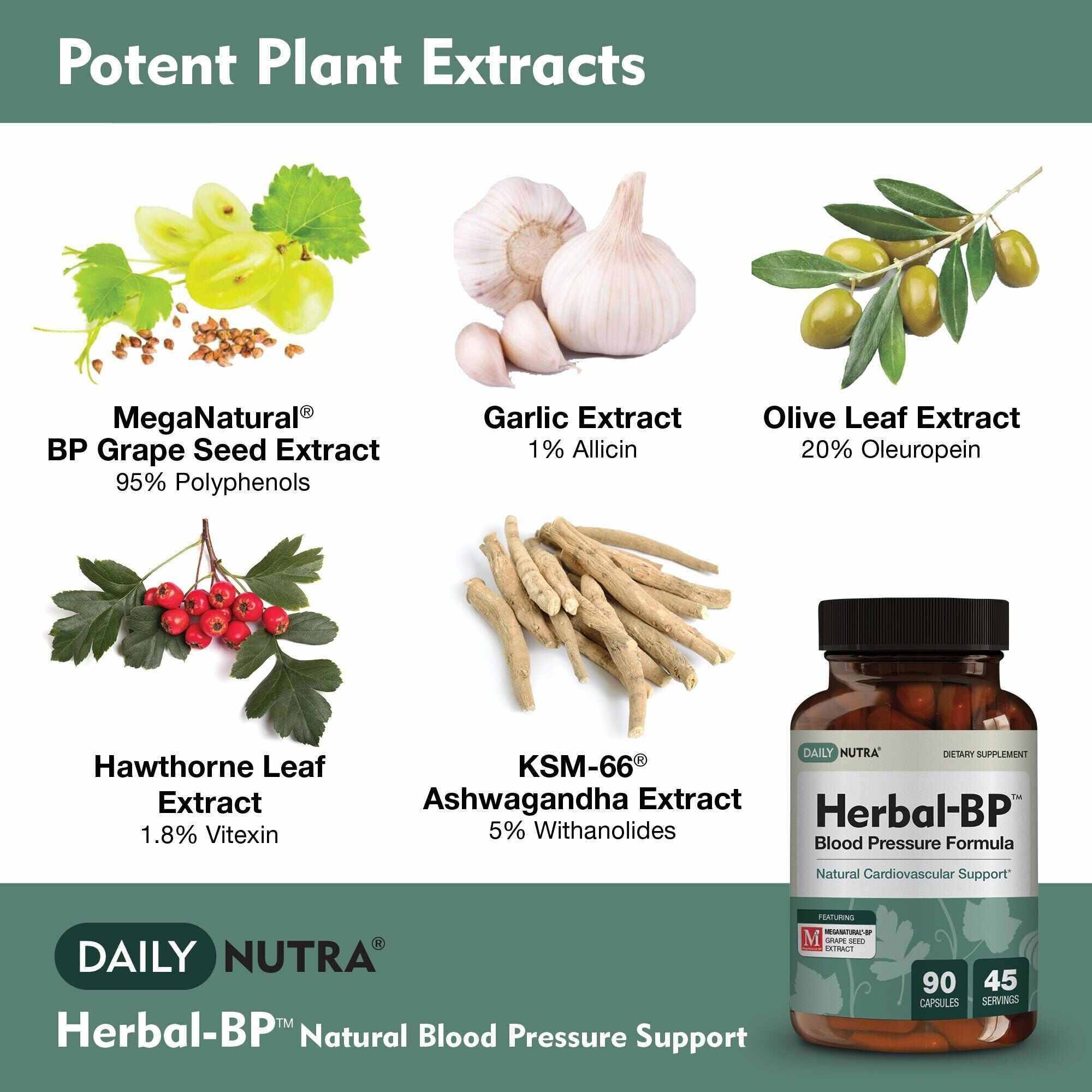 Herbal-BP - Supports circulatory wellness