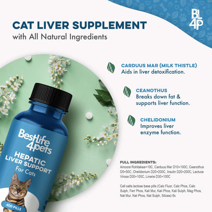 Natural Hepatic Liver Support for Cats by BestLife4Pets