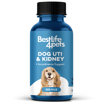 Dog UTI & Kidney Support by BestLife4Pets