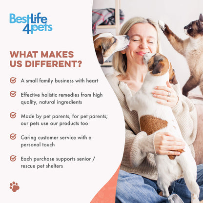 Dog Mange Treatment - Demodectic and Sarcoptic Mange (Scabies) by BestLife4Pets
