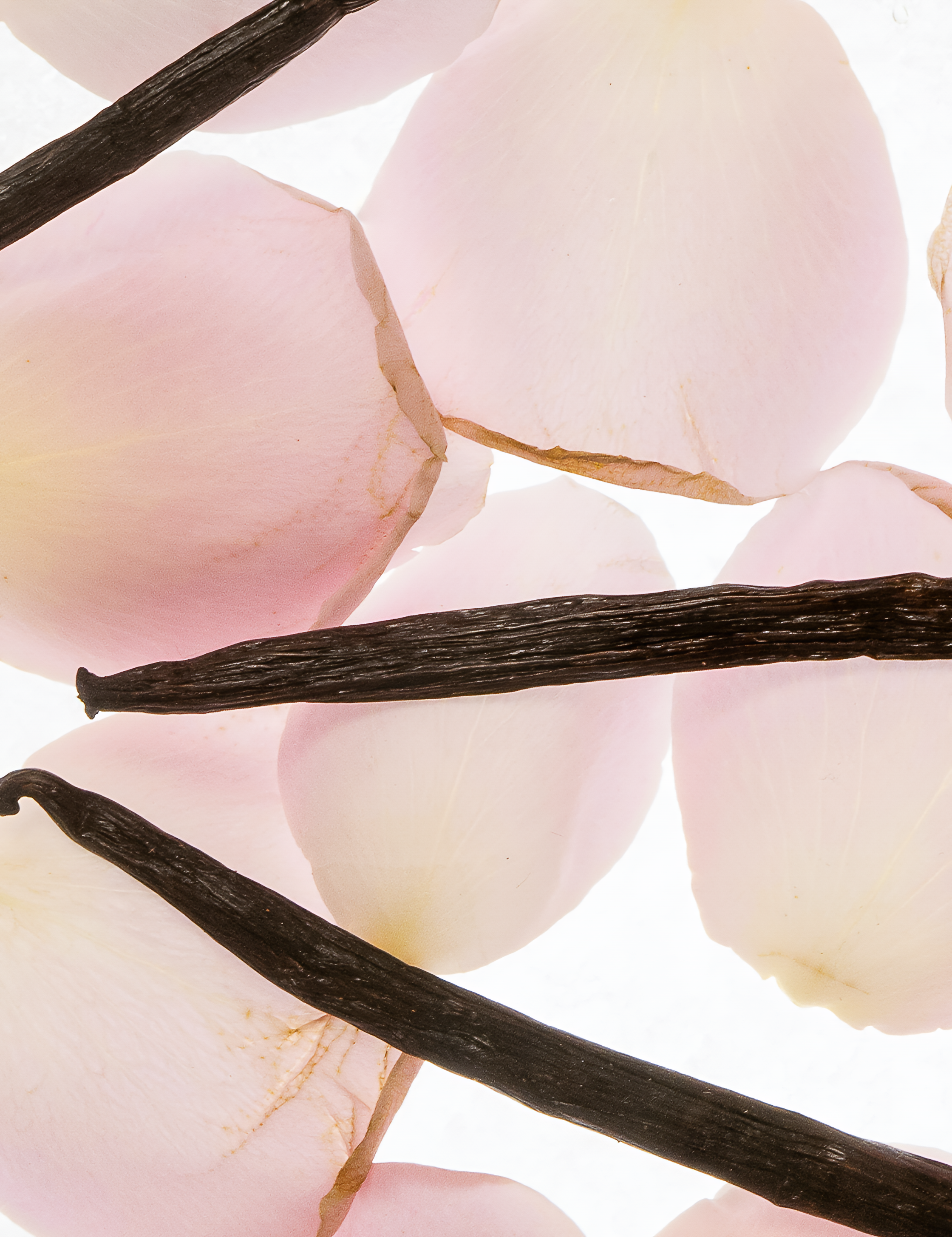 Coquette Hamam Deo Body Spray