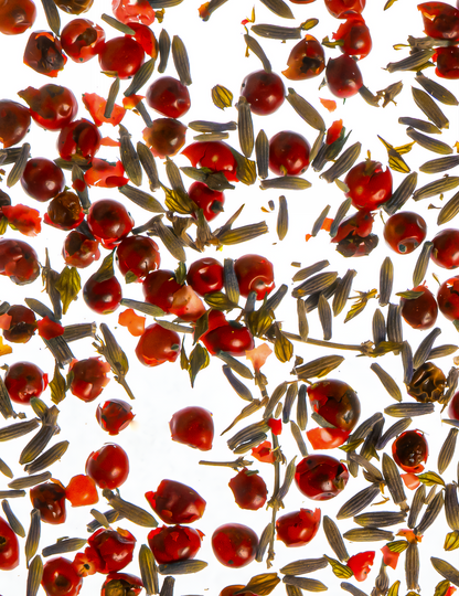 Lavender & Cedar Hamam Deo Body Spray