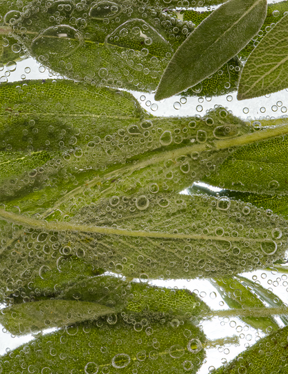 Sea Salt & Sage Hamam Deo Body Spray