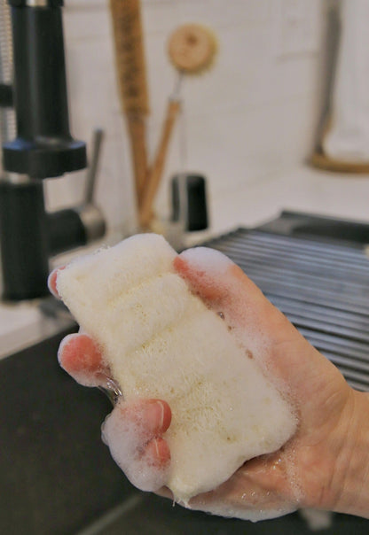 Eco Dish Sponges: Double Layer 3-Pack
