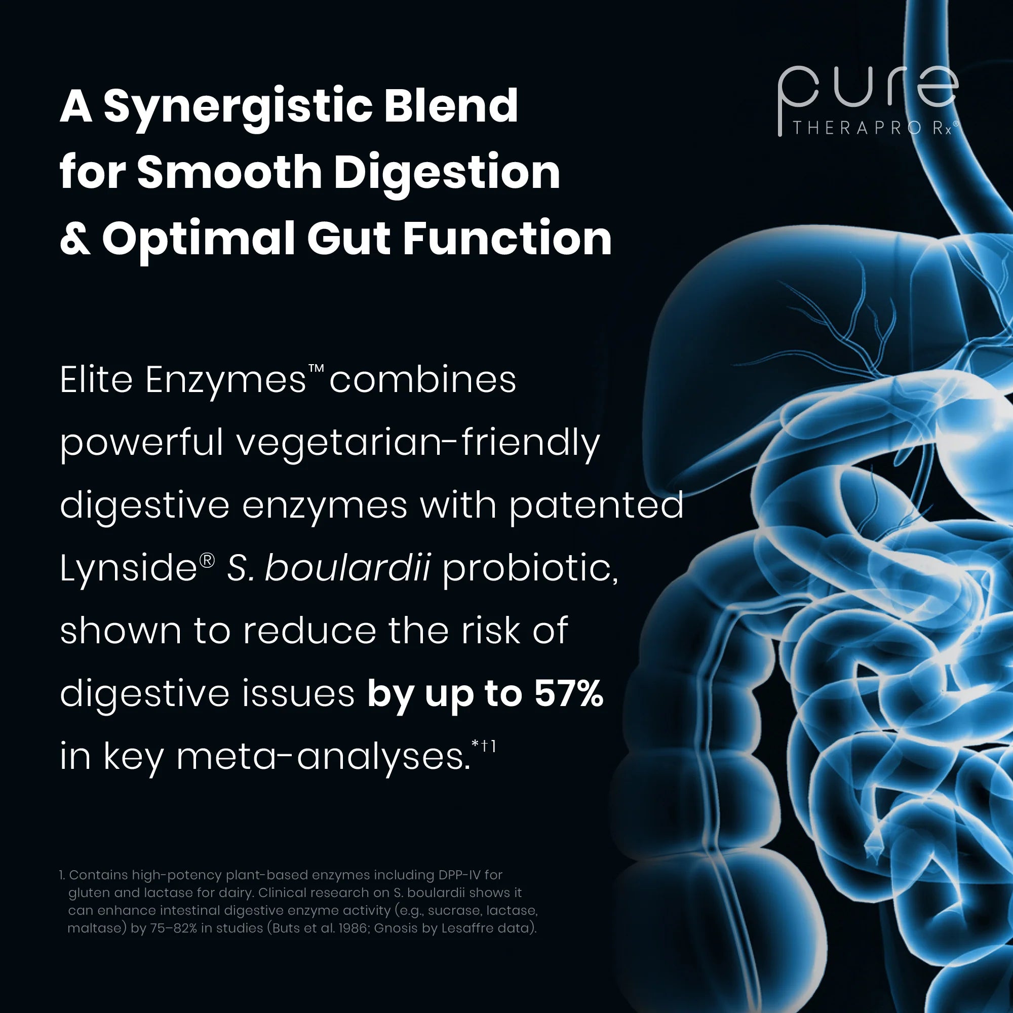 Elite Enzymes™ Plus Probiotics