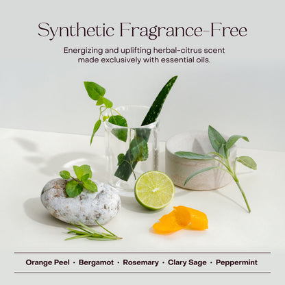 The Shampoo Concentrate Travel Mini