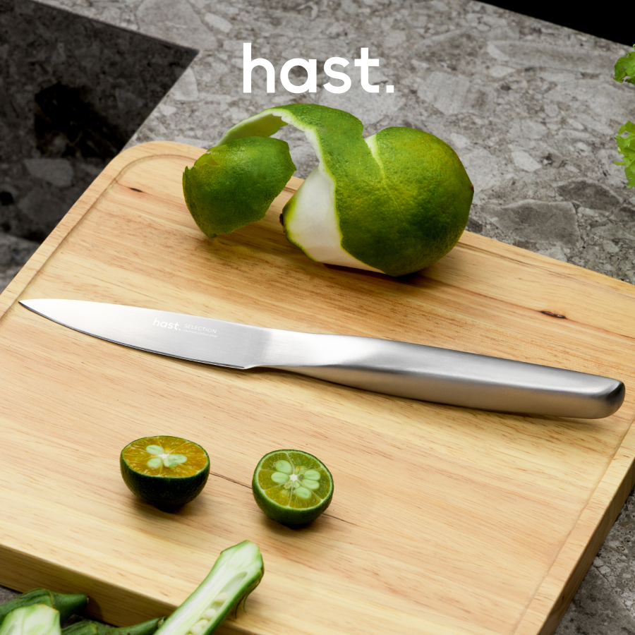 Hast Selection series 2-piece Japanese Steel Knife Set by Hast