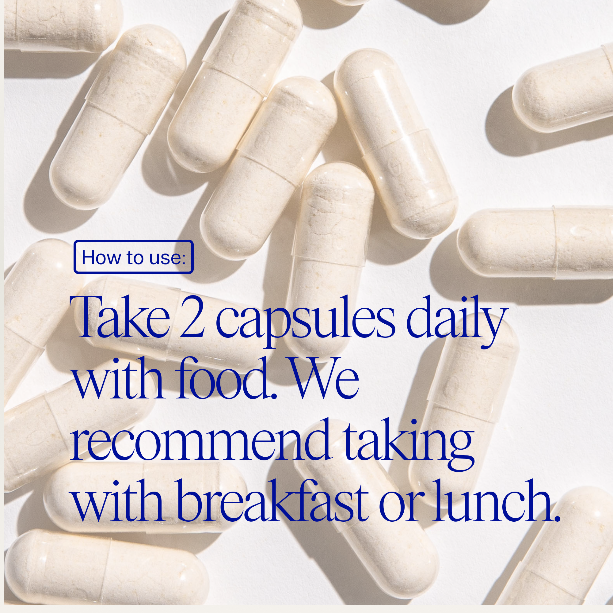 High Potency Probiotic