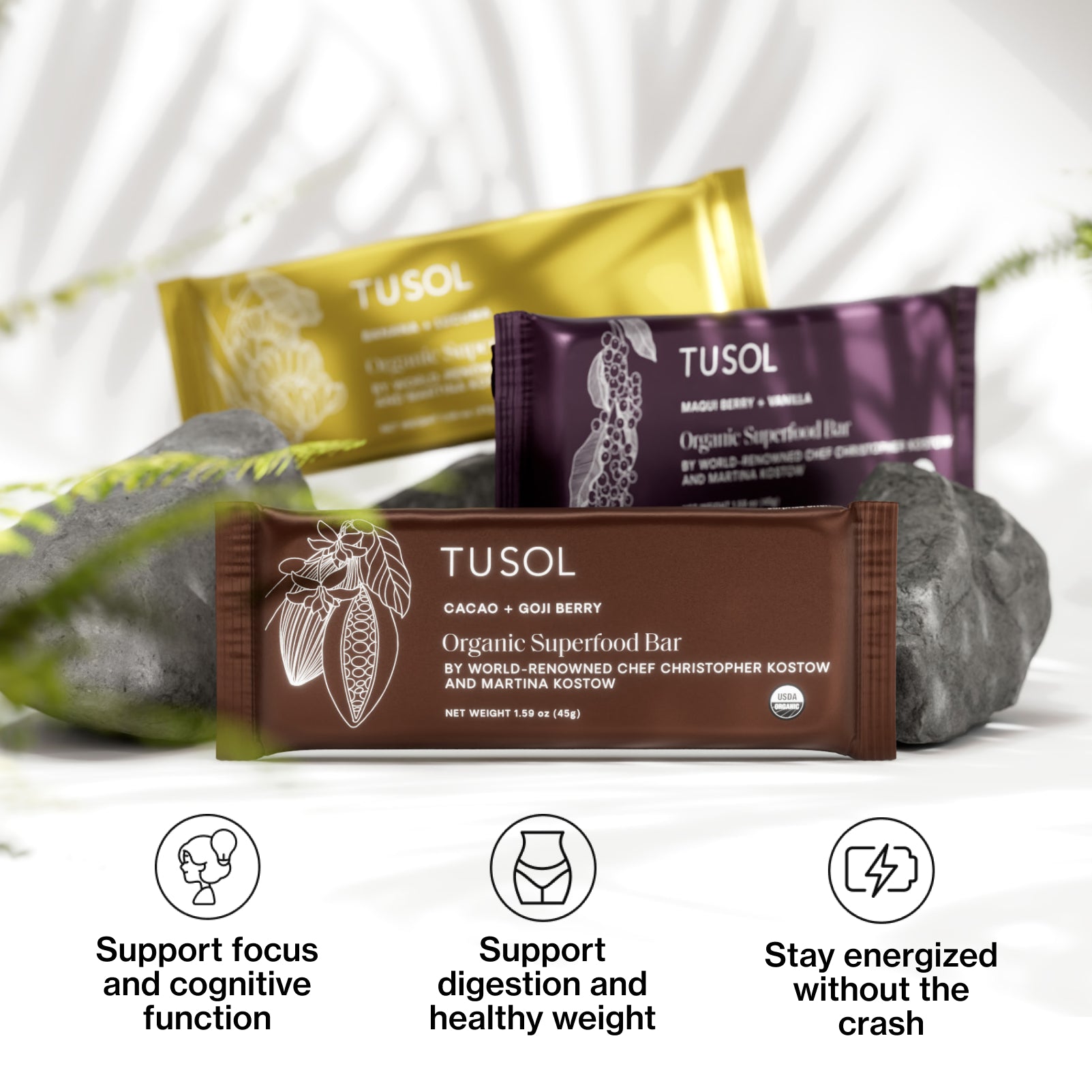 Organic Protein + Superfood Bars by TUSOL Wellness