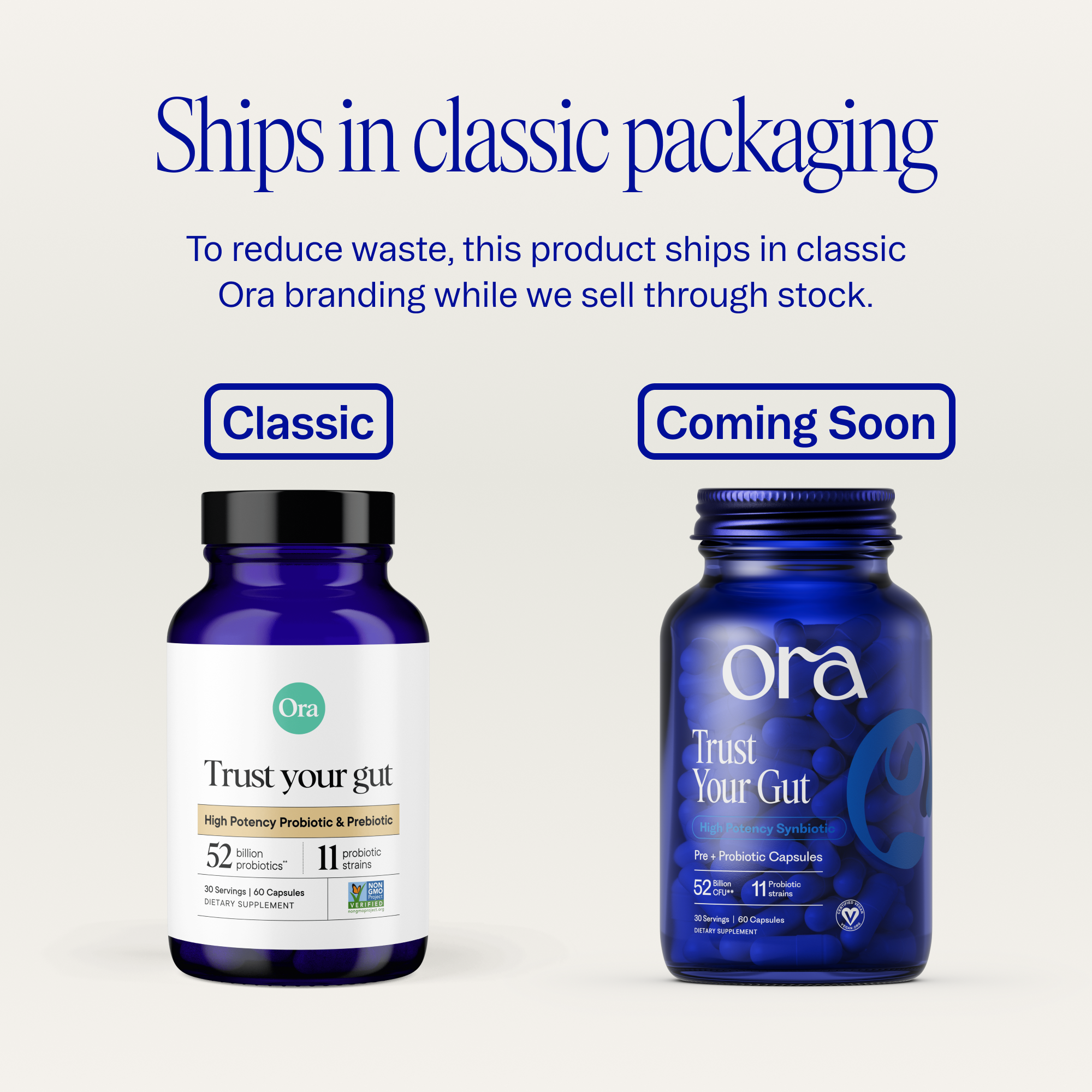 High Potency Probiotic