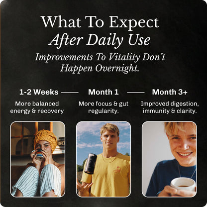 Original Starter Kit