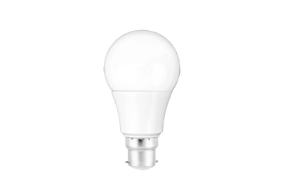 Full Spectrum Light Bulb