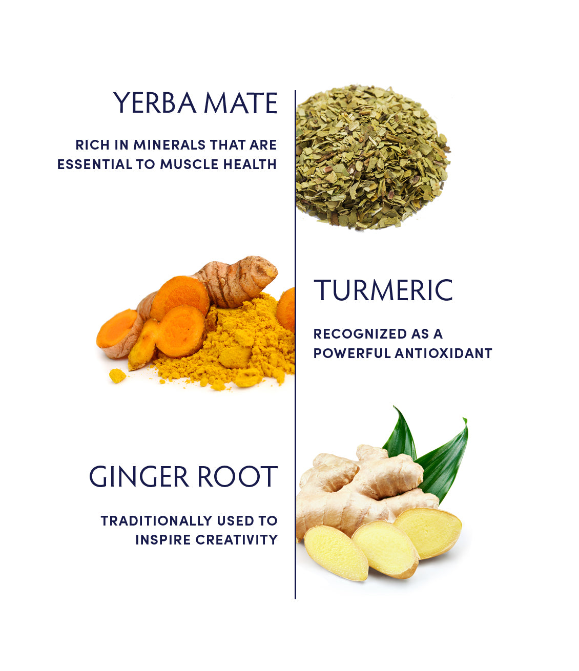 Ginger & Turmeric Muscle & Joint Tea by Naturopathica