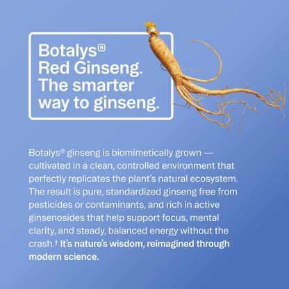 Advanced Nootropic Formula