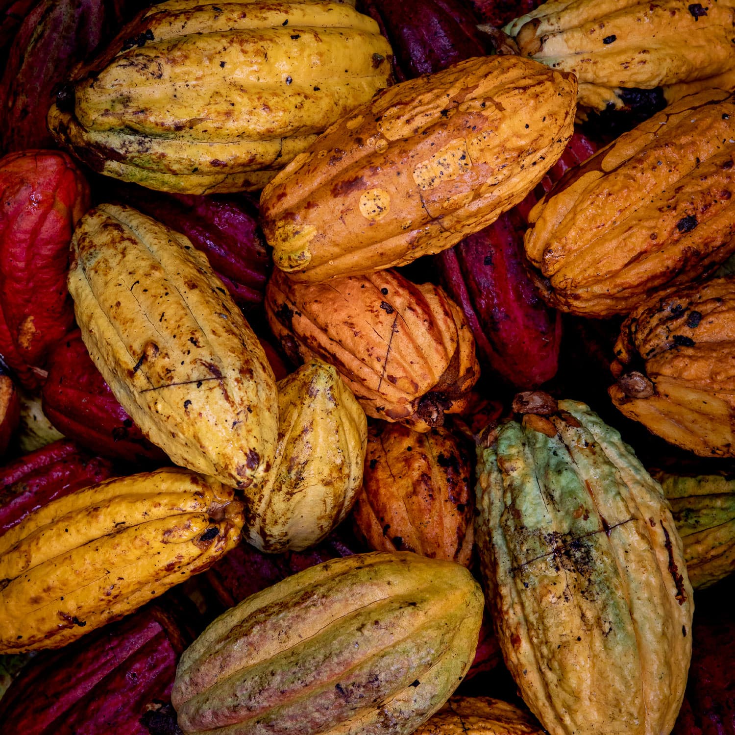 Kampot Pepper Aged by To'ak Chocolate