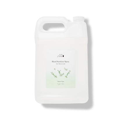 Hand Sanitizer Spray