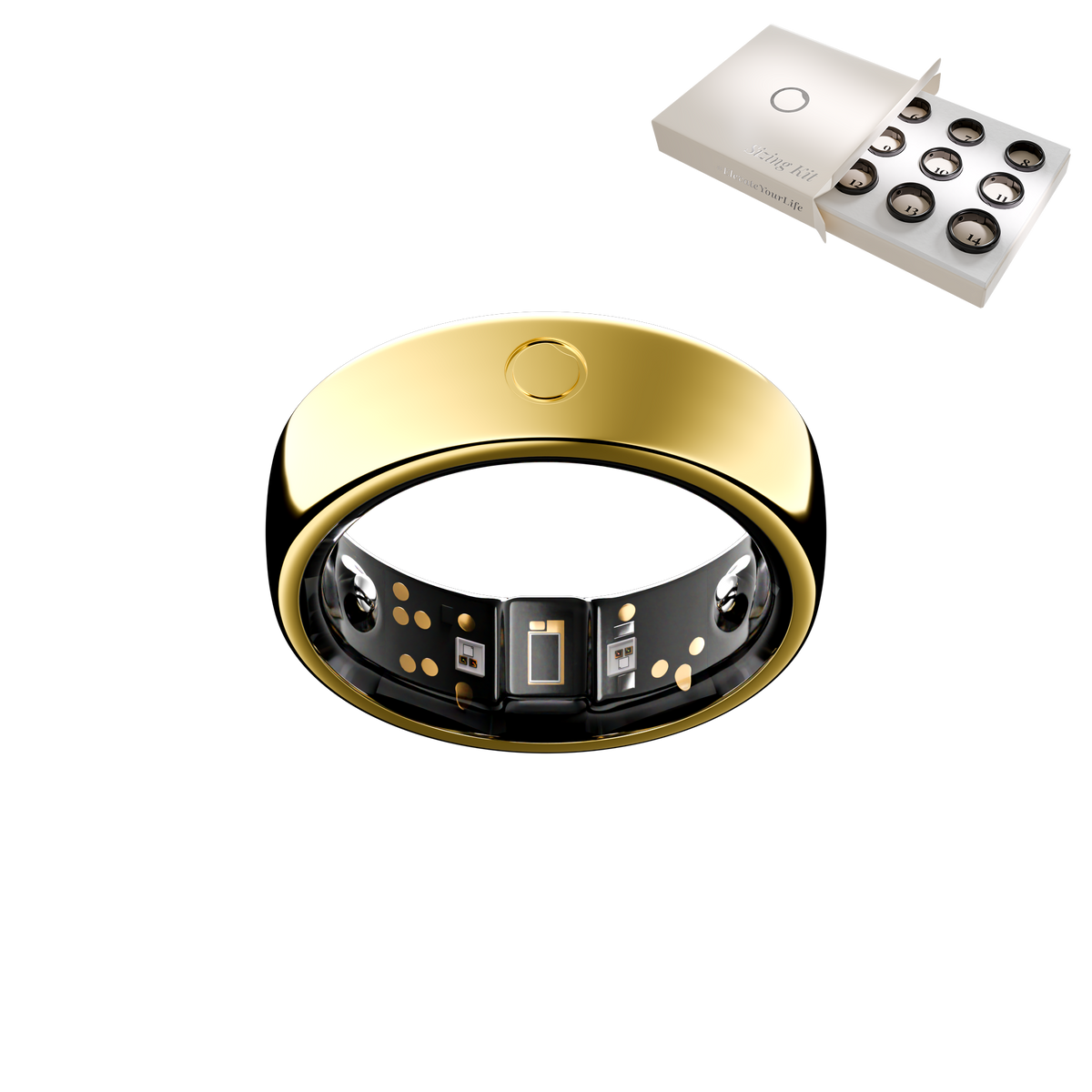 Circular Ring 2