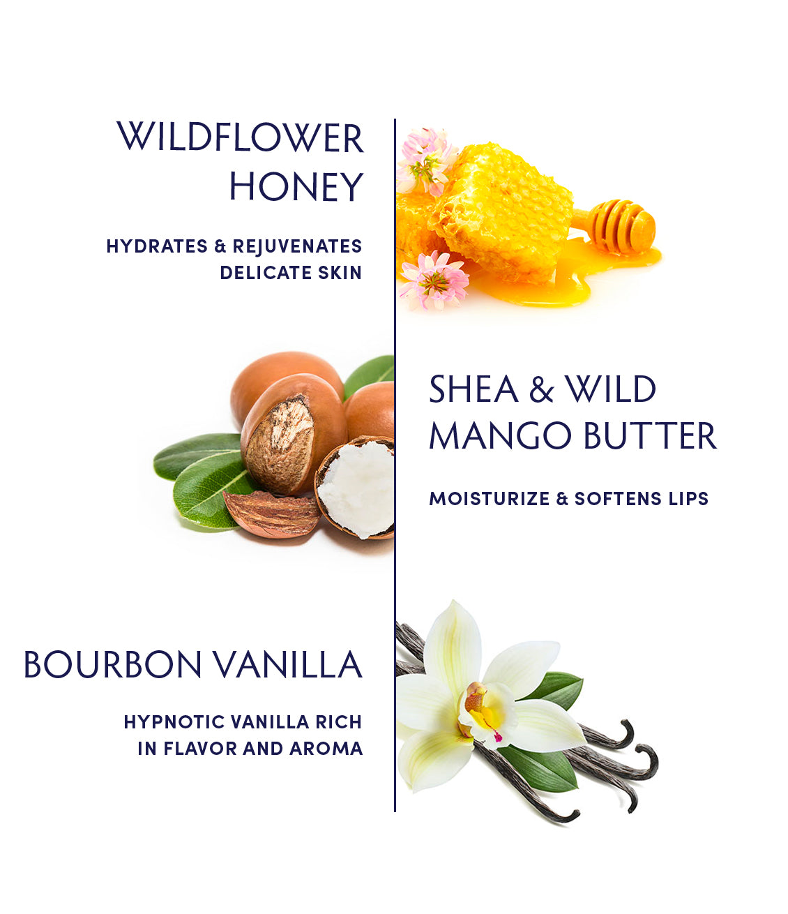 Soothing Honey Vanilla Lip Balm by Naturopathica