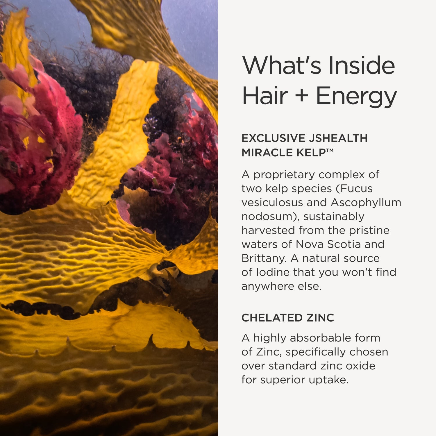 Hair + Energy Formula