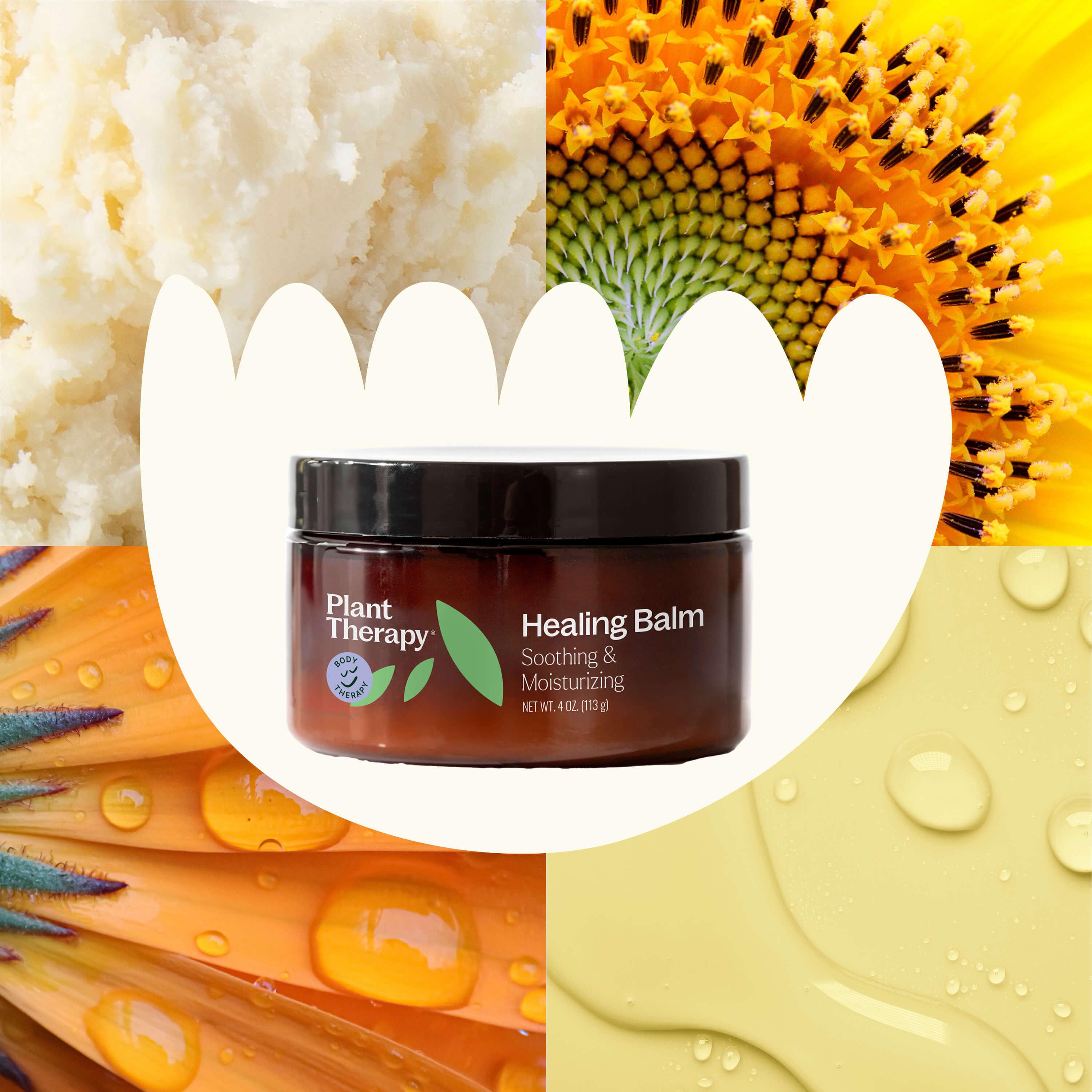 Healing Balm by Plant Therapy