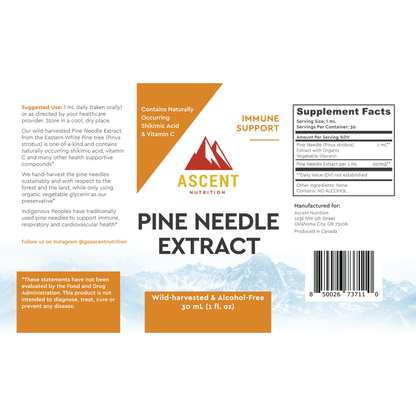Pine Needle Extract, Pine Needle Tea Alternative, 30 ml Bottle by Ascent Nutrition