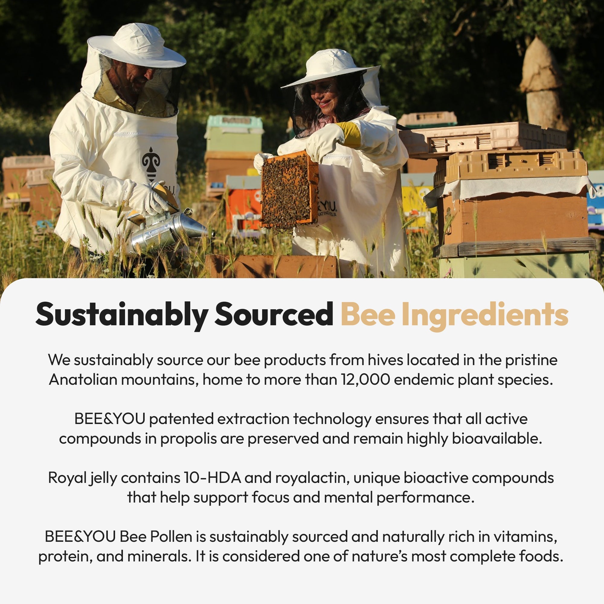 Royal Jelly+Propolis+Bee Pollen Tablets Ultra Potency