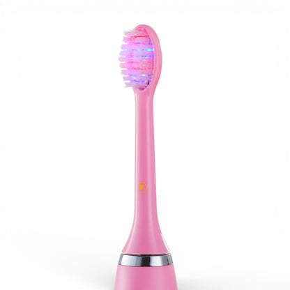 DualRay Replacement Brush Head