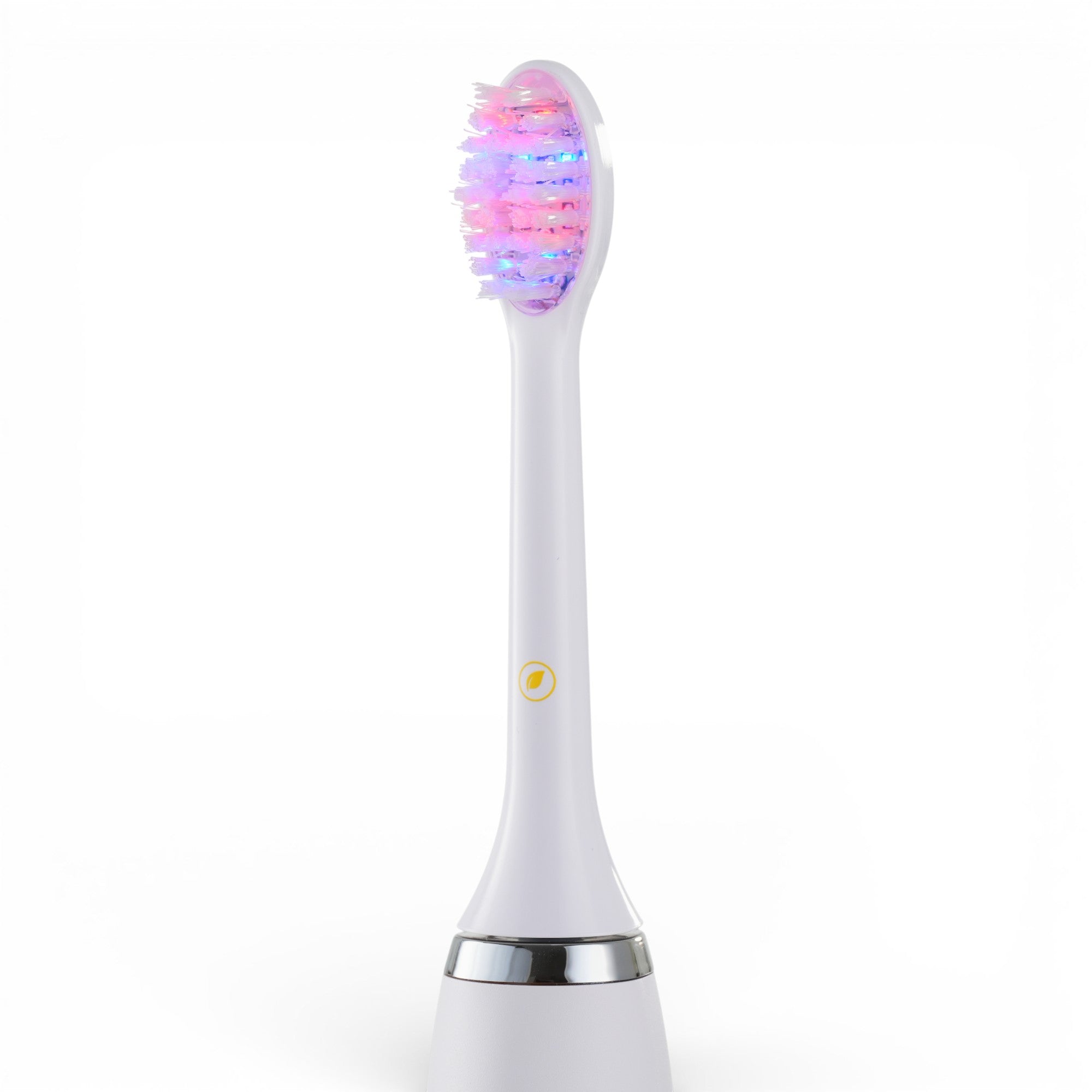 DualRay Replacement Brush Head