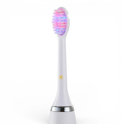 DualRay Replacement Brush Head