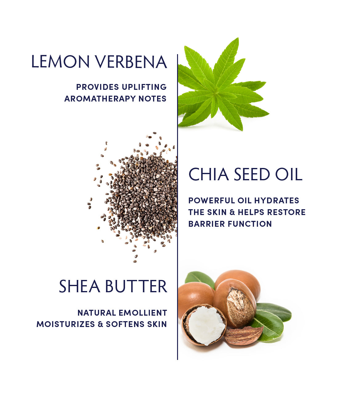 Lemon Verbena Omega-3 Calming Hand Cream by Naturopathica