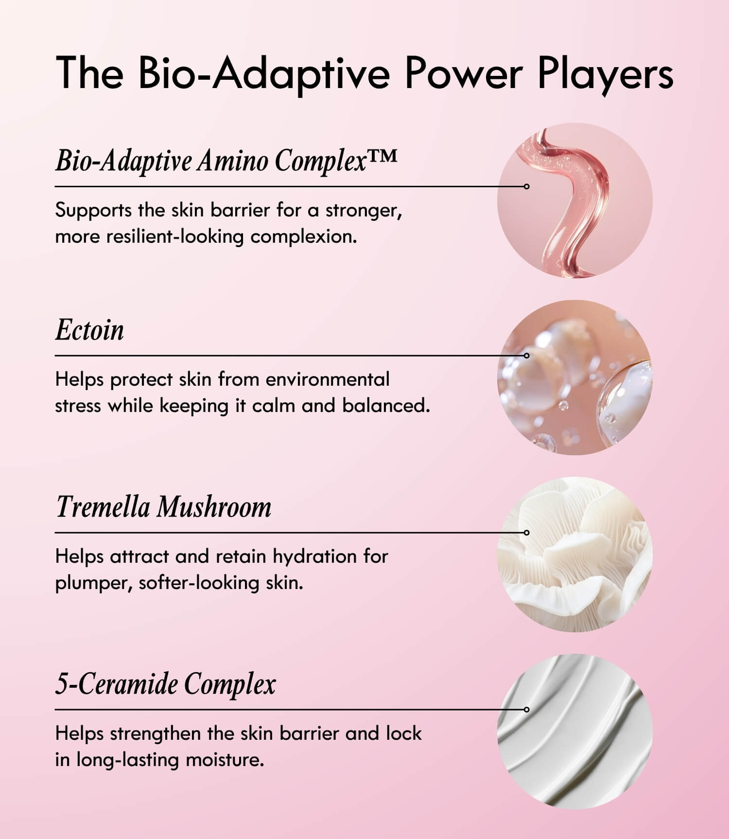 Bio-Adaptive Skin Barrier System™ – Complete Skin Barrier Recovery Set