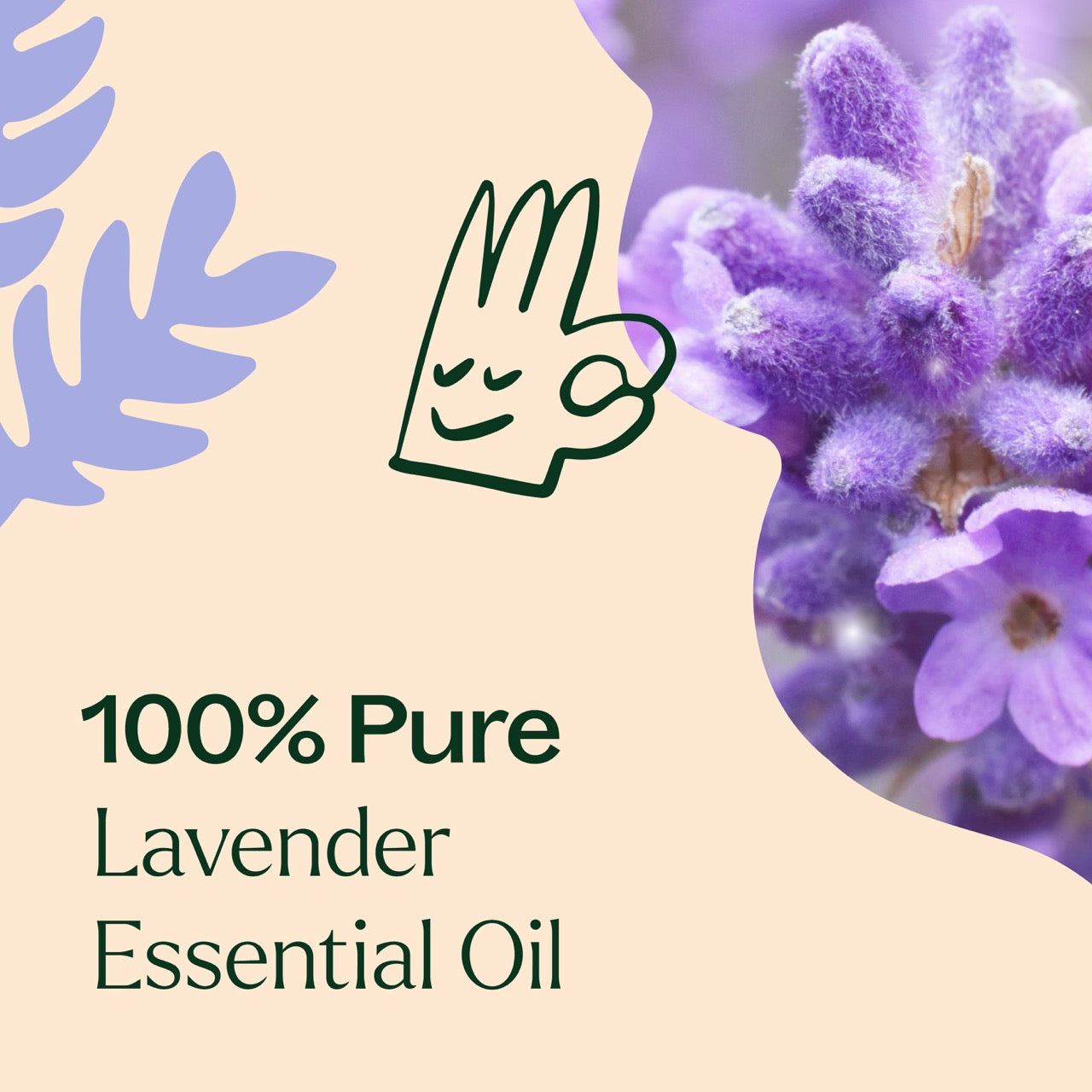 Lavender Essential Oil by Plant Therapy