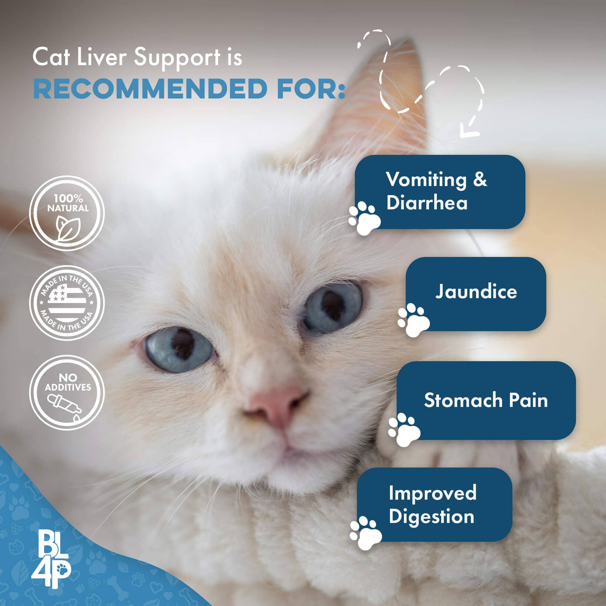 Natural Hepatic Liver Support for Cats by BestLife4Pets
