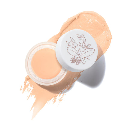 Fruit Pigmented® Long Last Concealer with Super Fruits