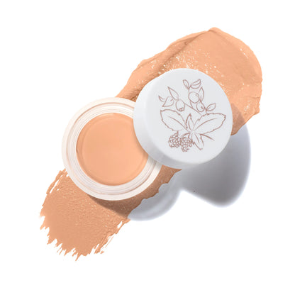 Fruit Pigmented® Long Last Concealer with Super Fruits