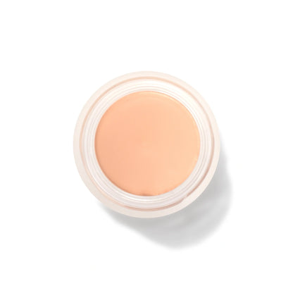 Fruit Pigmented® Long Last Concealer with Super Fruits